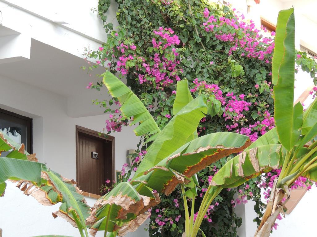 Apartamentos Sal Rossa Ibiza Bagian luar foto